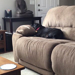 Meet your Posher, Michael